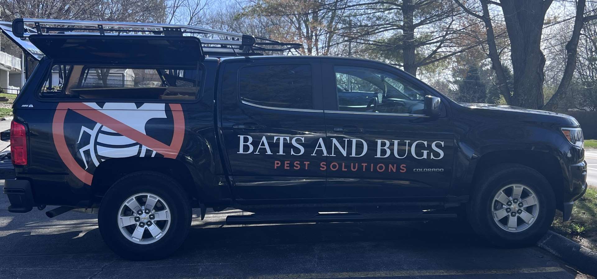 Bat Removal Des Moines | Bats and Bugs Pest Solutions